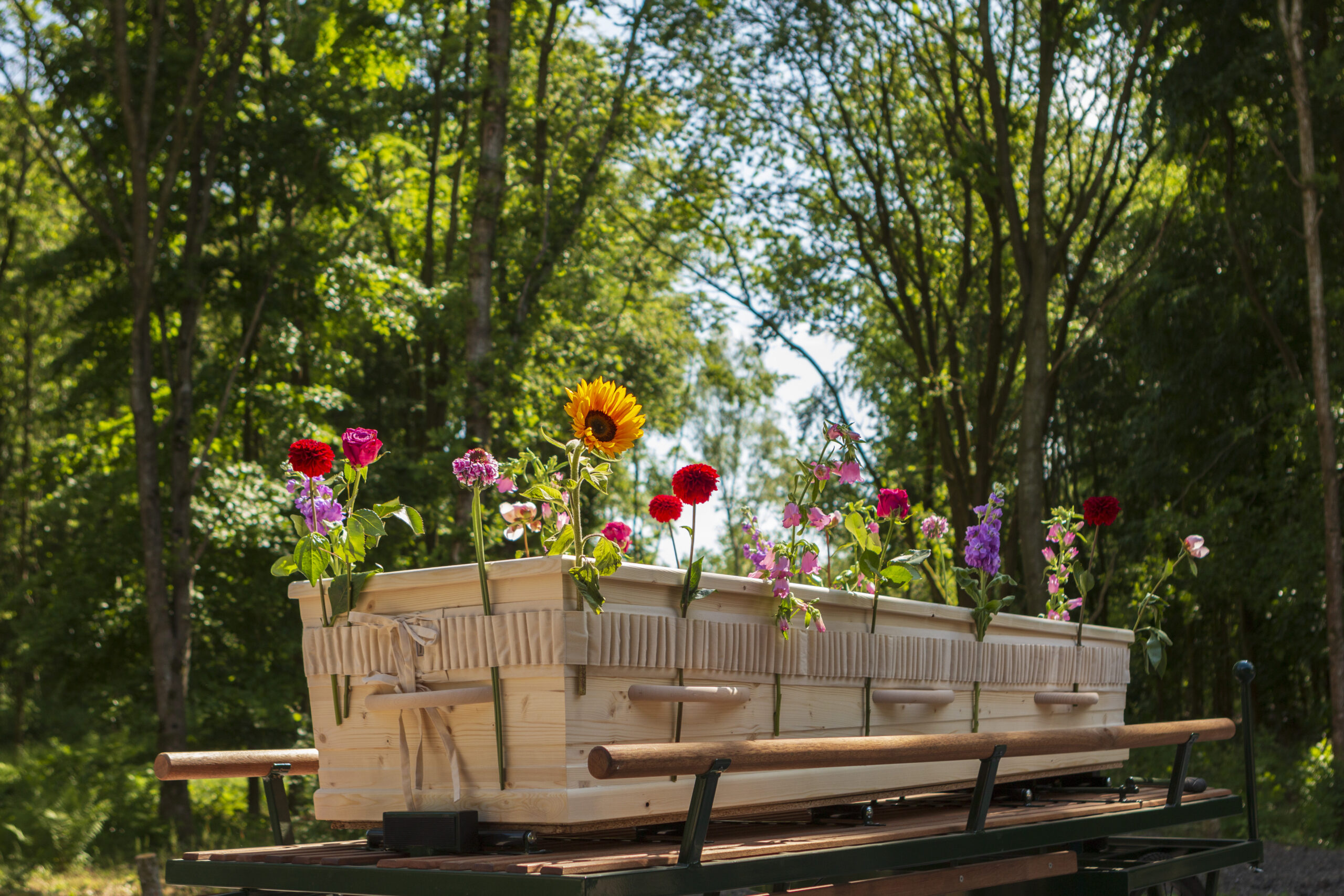 Bloemenband Ongebleekt Katoen foto DAF