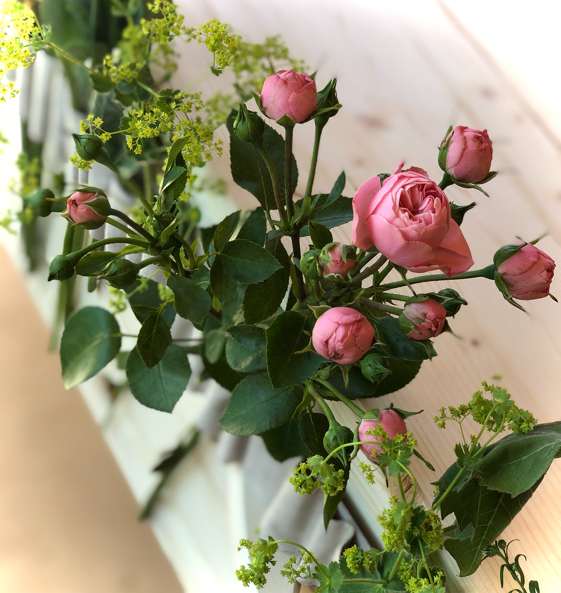 Bloemenband Linnenlook