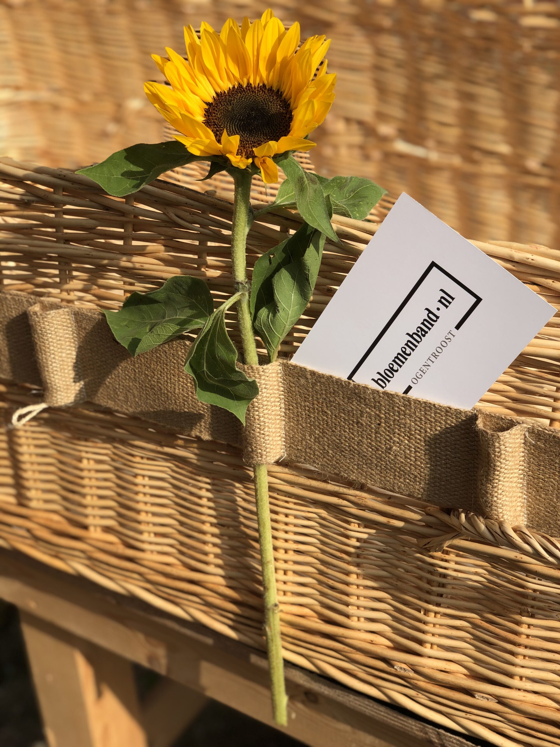 Memobloemenband om mand Green Coffins